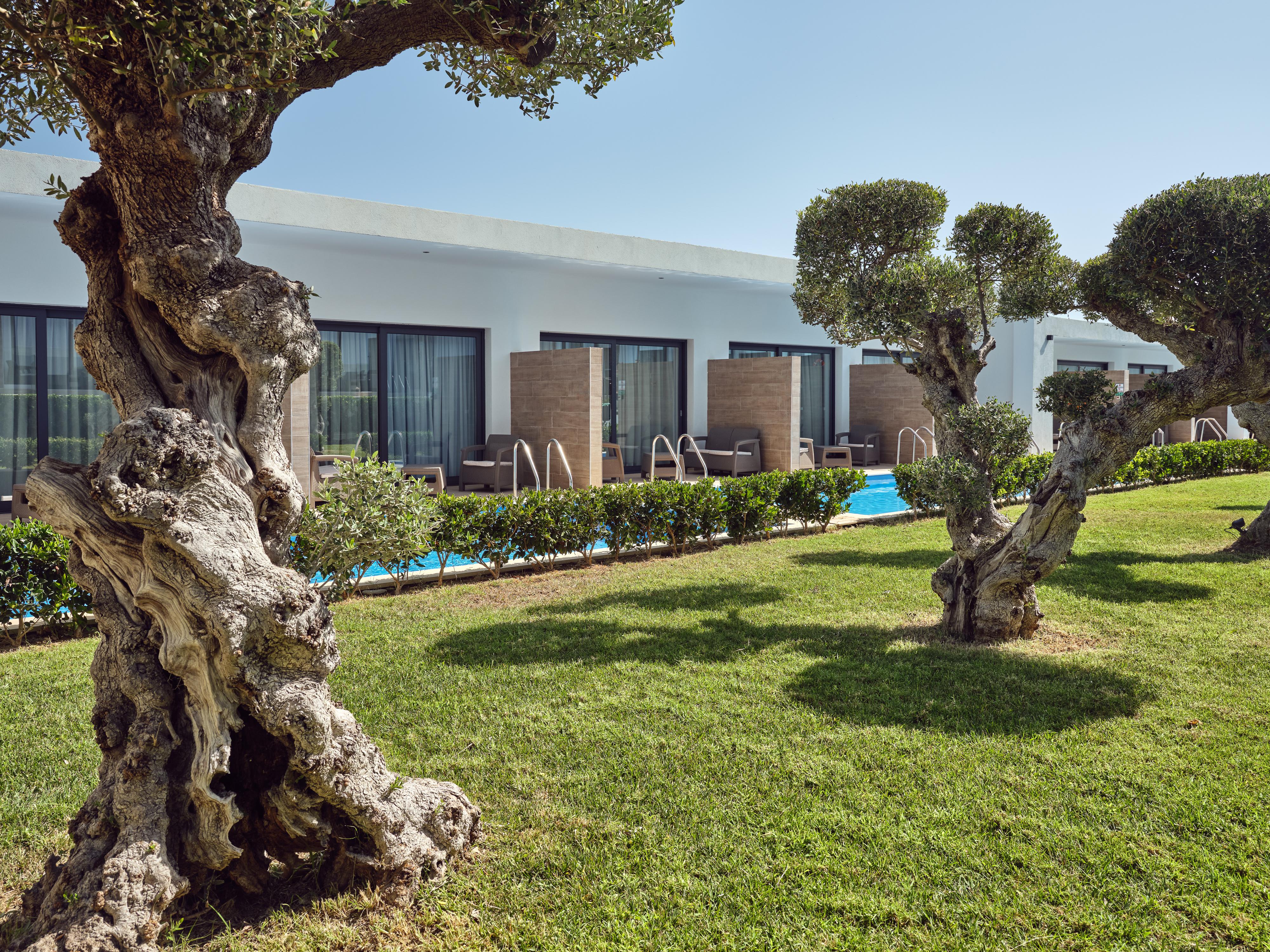 Cavo Orient Beach Hotel & Suites Drosia  Екстериор снимка
